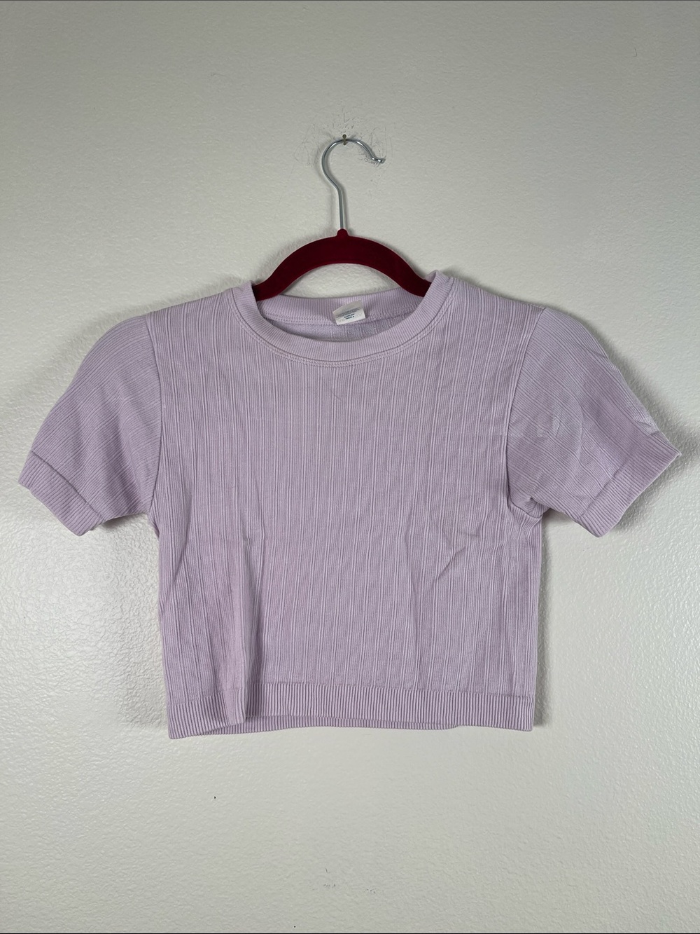 Arizona Jean Company Lavender Ribbed Short Sleeve Crop Top